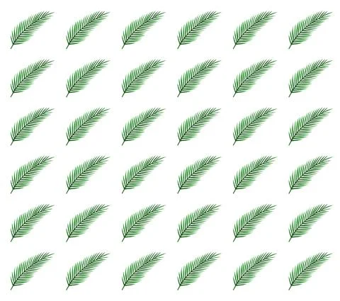 Background of realistic leaf palm on white. Vector illustration. Stock Illustration