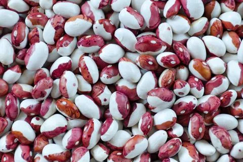 Background of a red and white bean variety Red Riding Hood. Top view. Stock Photos