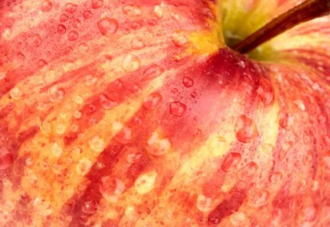 Background of a red apple Stock Photos