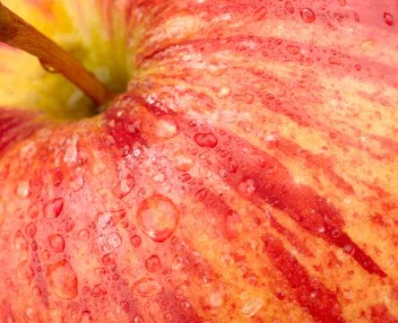Background of a red apple Stock Photos