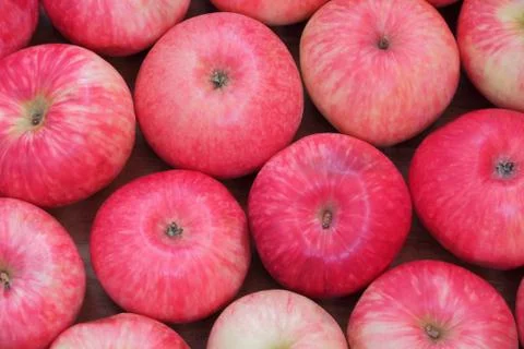 Background of red apples Stock Photos