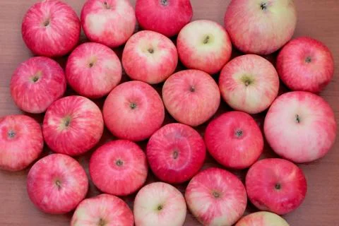 Background of red apples Stock Photos