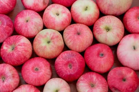 Background of red apples Stock Photos