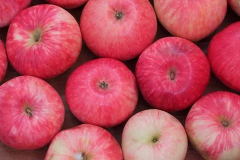 Background of red apples Stock Photos