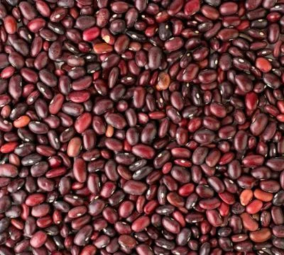 Background of red beans. The view from top. Stock Photos