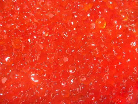 Background of red caviar Stock Photos