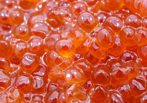 Background red caviar Stock Photos