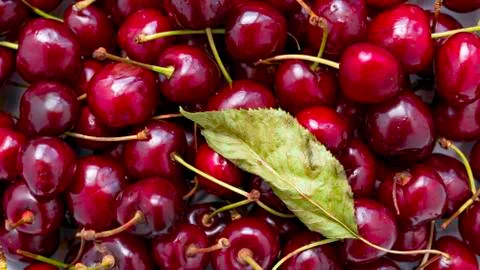 Background of red cherries. Stock Photos