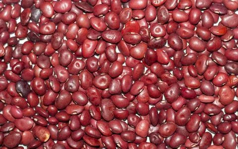 Background of red dried beans close-up. The texture of the dried beans Stock Photos