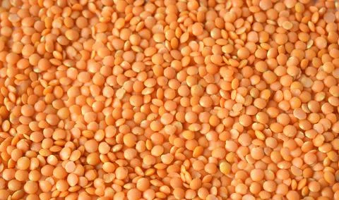 Background of red lentils. horizontal texture grains Stock Photos