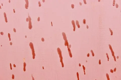 Background red painted surface with water droplets Stock Photos