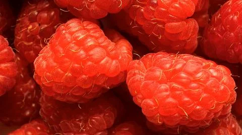 Background red ripe raspberry berries Stock Photos