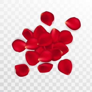 Background of red rose petals. Vector illustration red rose background Illustrazione stock