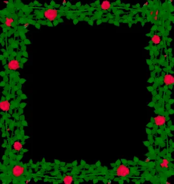 Background red roses Stock Illustration