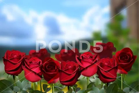 Background with red roses with a stem and green leaves on a blurred background Stock Illustration