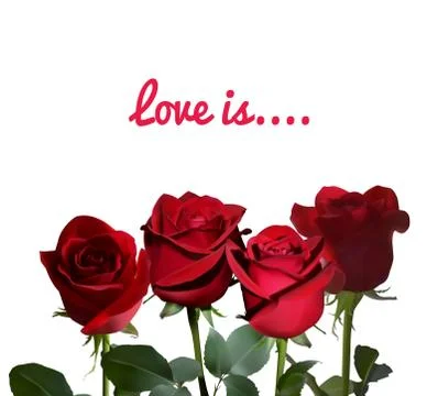 Background with red roses with a stem and green leaves Stock Illustration