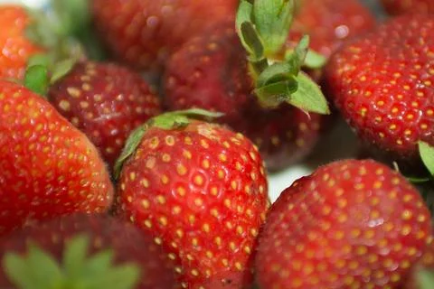 Background of red strawberries . White background Stock Photos