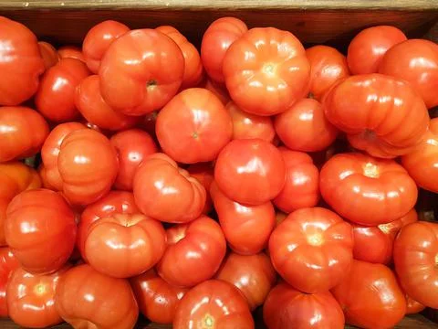 Background of red tomatoes in close-up. Texture of red tomatoes Stock Photos