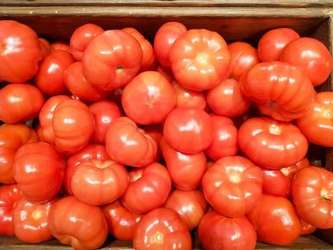 Background of red tomatoes in close-up. Texture of red tomatoes Stock Photos