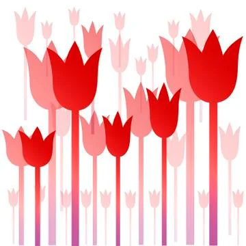 Background of red tulips イラスト素材