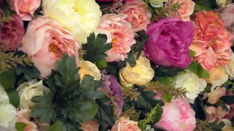 Background: red yellow and pink roses Stock Footage