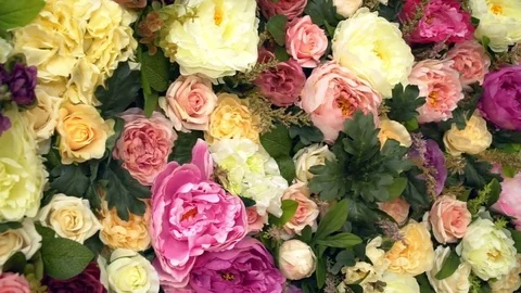 Background: red yellow and pink roses Video stock 79452330