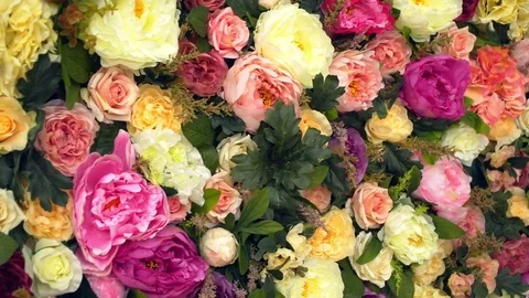 Background: red yellow and pink roses 動画素材 79453085