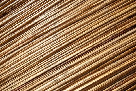 Background with reeds, diagonal, horizontal orientation, close-up, copy paste. Fotos Stock