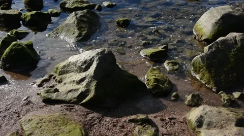 Background with reflections on the sea with stones Stock Footage 65495799
