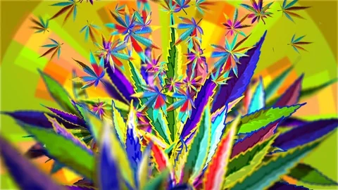 Background Reveals Cannabis Leaf - Psy 動画素材 122003748