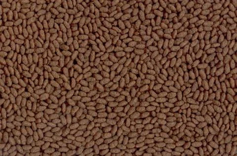 Background of rice chocolate flakes Stock Photos