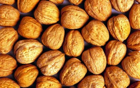Background of ripe brown hazelnuts Stock Photos