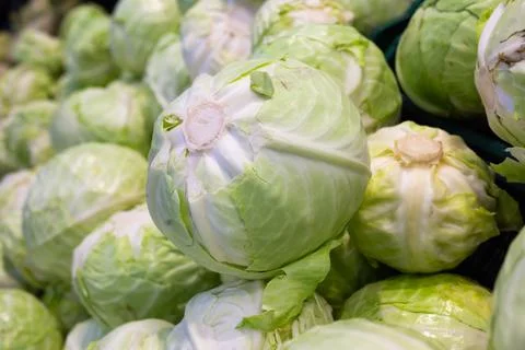 Background of ripe cabbage heads Stock Photos