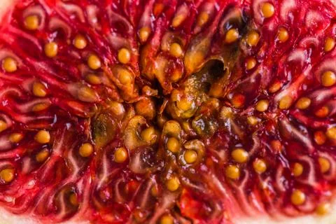 Background of ripe figs in a cut. Stock Photos
