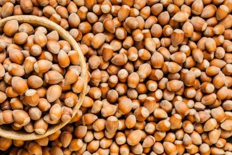 Background of ripe hazelnuts Stock Photos