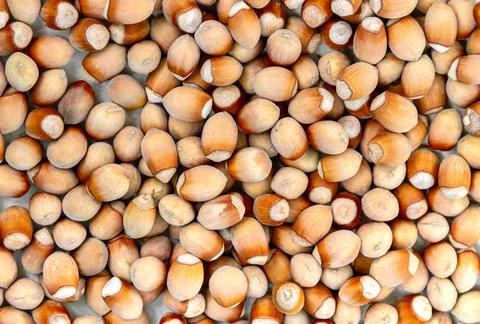 Background of ripe hazelnuts Stock Photos