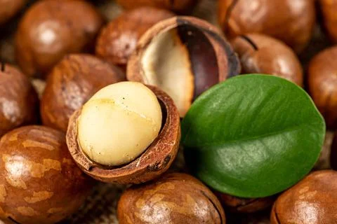 Background of ripe macadamia nuts with green leaf Stock Photos