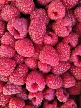 Background ripe raspberries, abstract flat layout, food photo fruit compositi Stock Photos