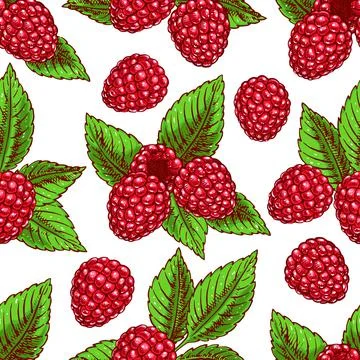 Background with ripe raspberries Stock Illustration