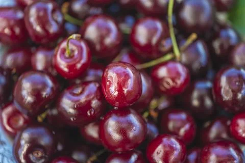 Background of ripe red cherries; selective focus Stock Photos