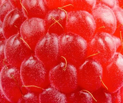 Background of Ripe Red Juicy Raspberry Stock Photos