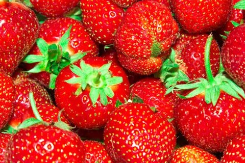 Background of ripe strawberries. 스톡 사진