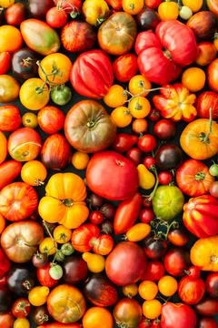 Background of ripe tomatoes Stock Photos