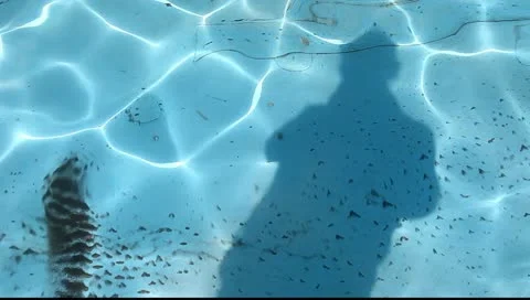 Background of rippled pattern of clean water in blue swimming pool Stock Footage 10909102