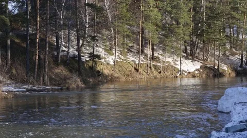 Background River Forest Snow Vídeos de archivo 74644792