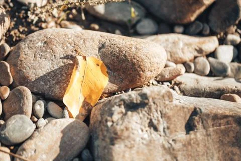 Background of river stones of different sizes on the river bank Stock Photos