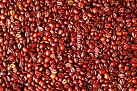 Background from roasted coffee beans. Banner on a coffee theme. Advertising o Stock Photos