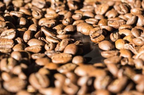 Background of roasted coffee beans lit by the sun Stock-Fotos