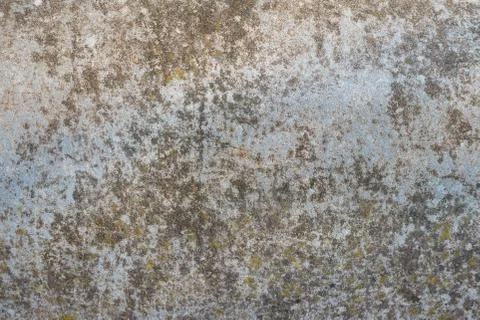 Background rock moss texture Stock Photos