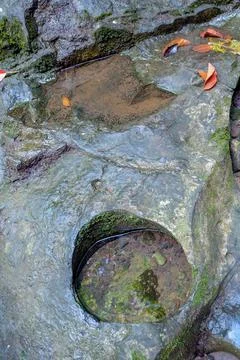 The background of the rocks on the edge of the river with rain puddles. Stock Photos